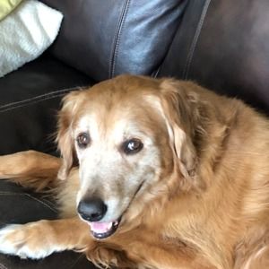 Meet your Posher, Brenda